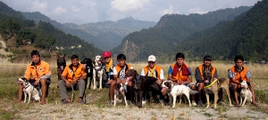 Photo of SAR Dogs Nepal in Himalayas