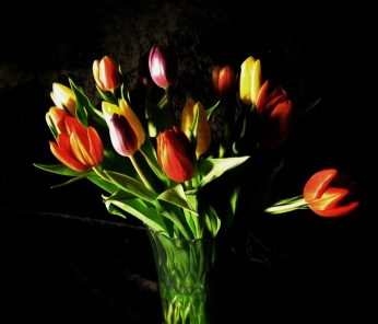 Photo of vase of tulips
